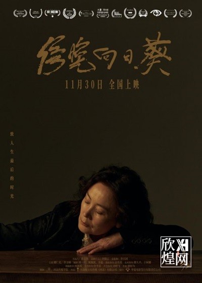电影《傍晚向日葵》定档11月30日， 娜仁花“用灵魂演绎”人生最后时光