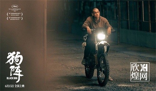 电影《狗阵》发布“再上路”特辑，影片将于6月15日全国上映-欣煌影投