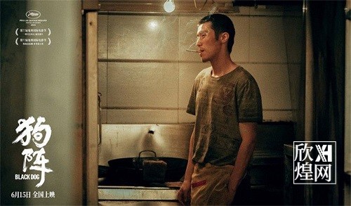 电影《狗阵》发布“再上路”特辑，影片将于6月15日全国上映-欣煌影投